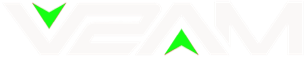 V2AM logo